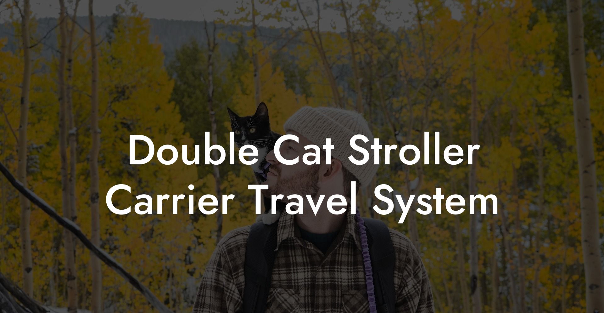 Double Cat Stroller Carrier Travel System