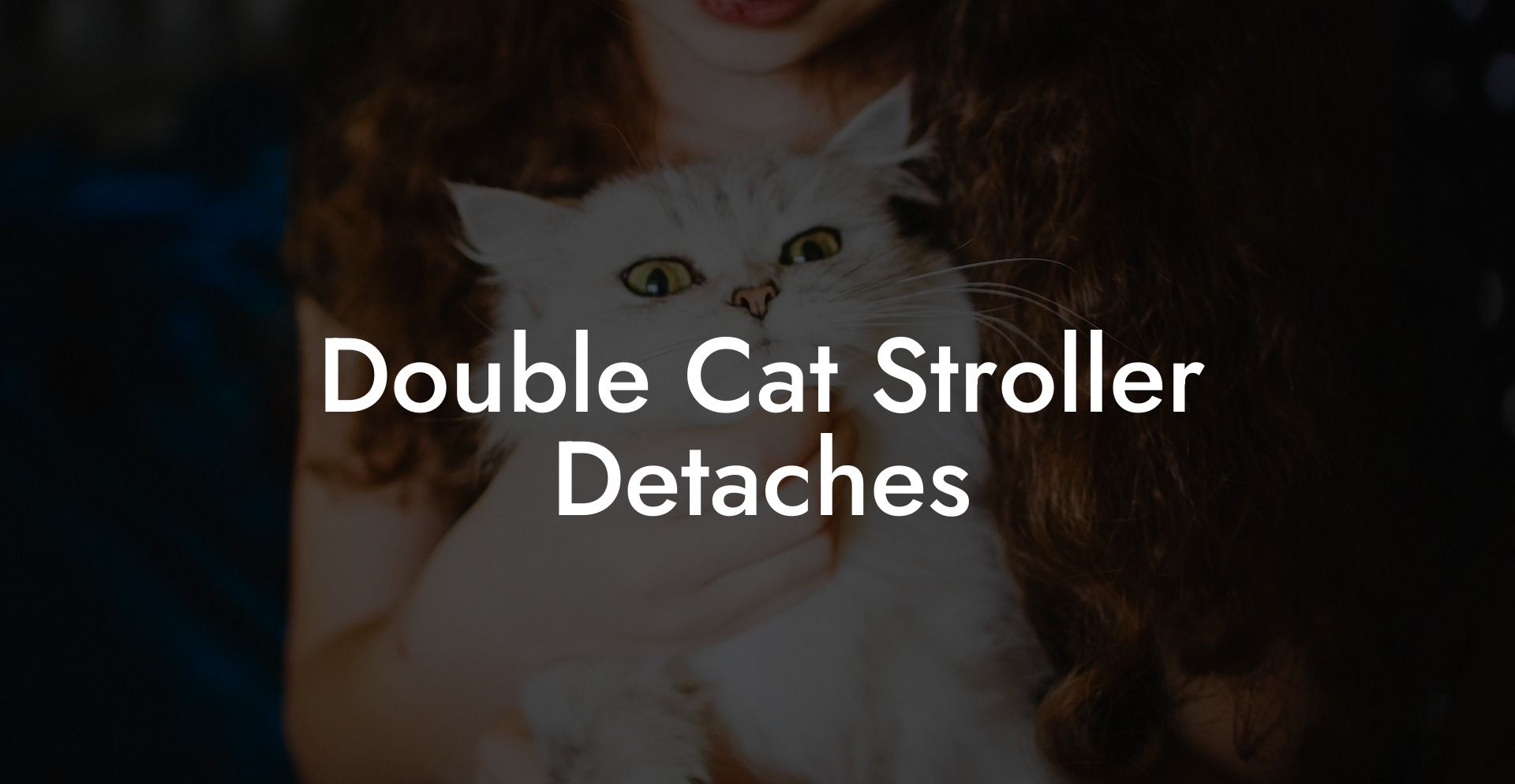 Double Cat Stroller Detaches