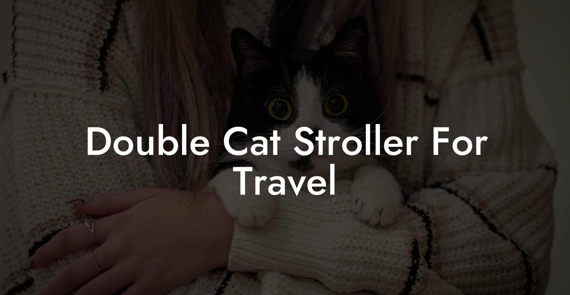 Double Cat Stroller For Travel