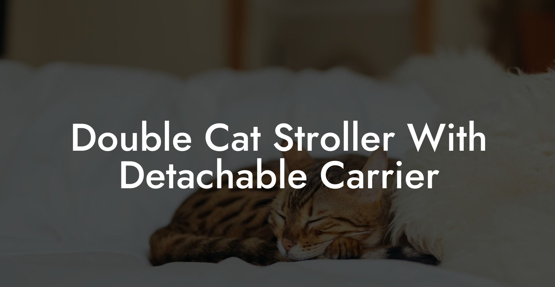Double Cat Stroller With Detachable Carrier