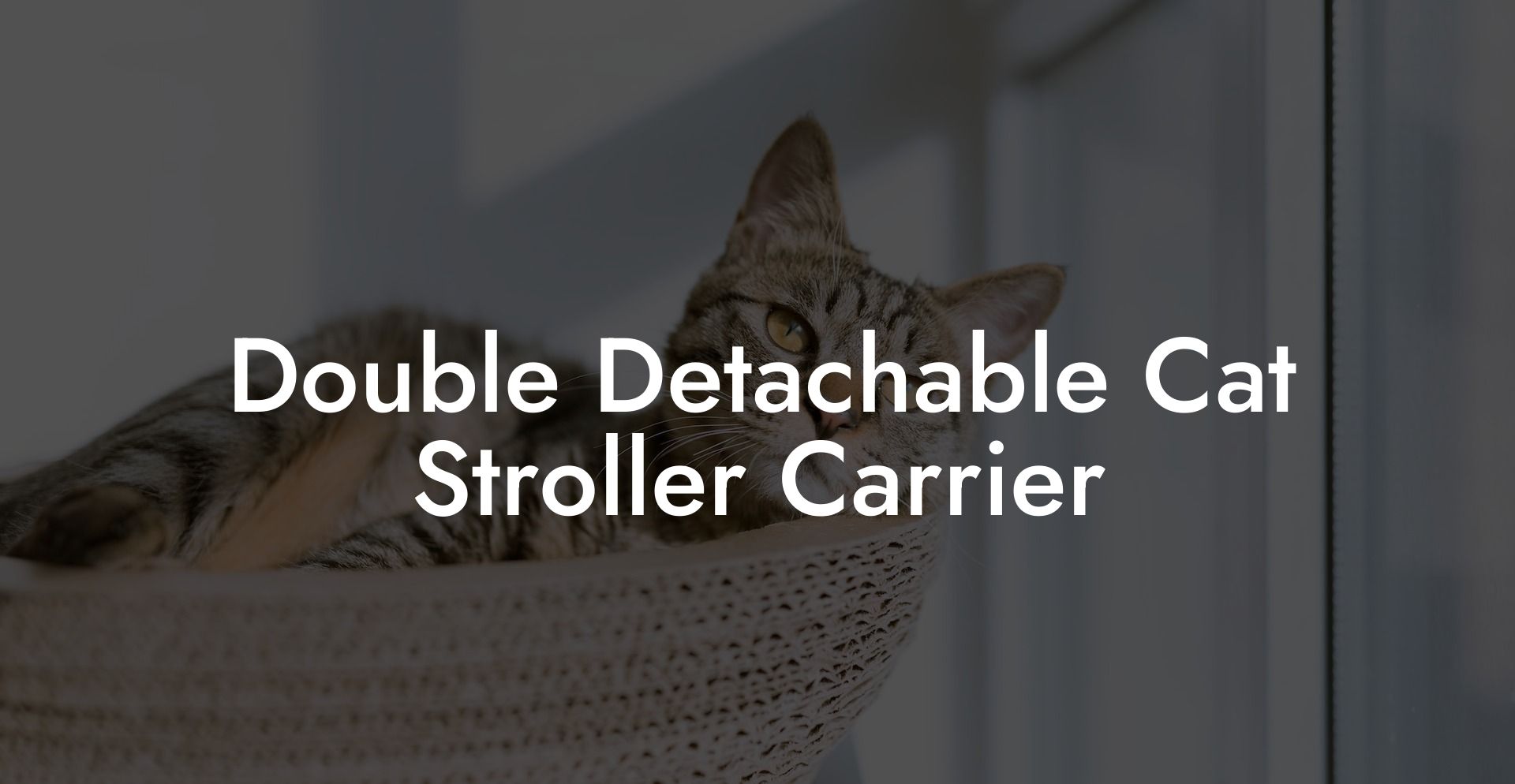 Double Detachable Cat Stroller Carrier