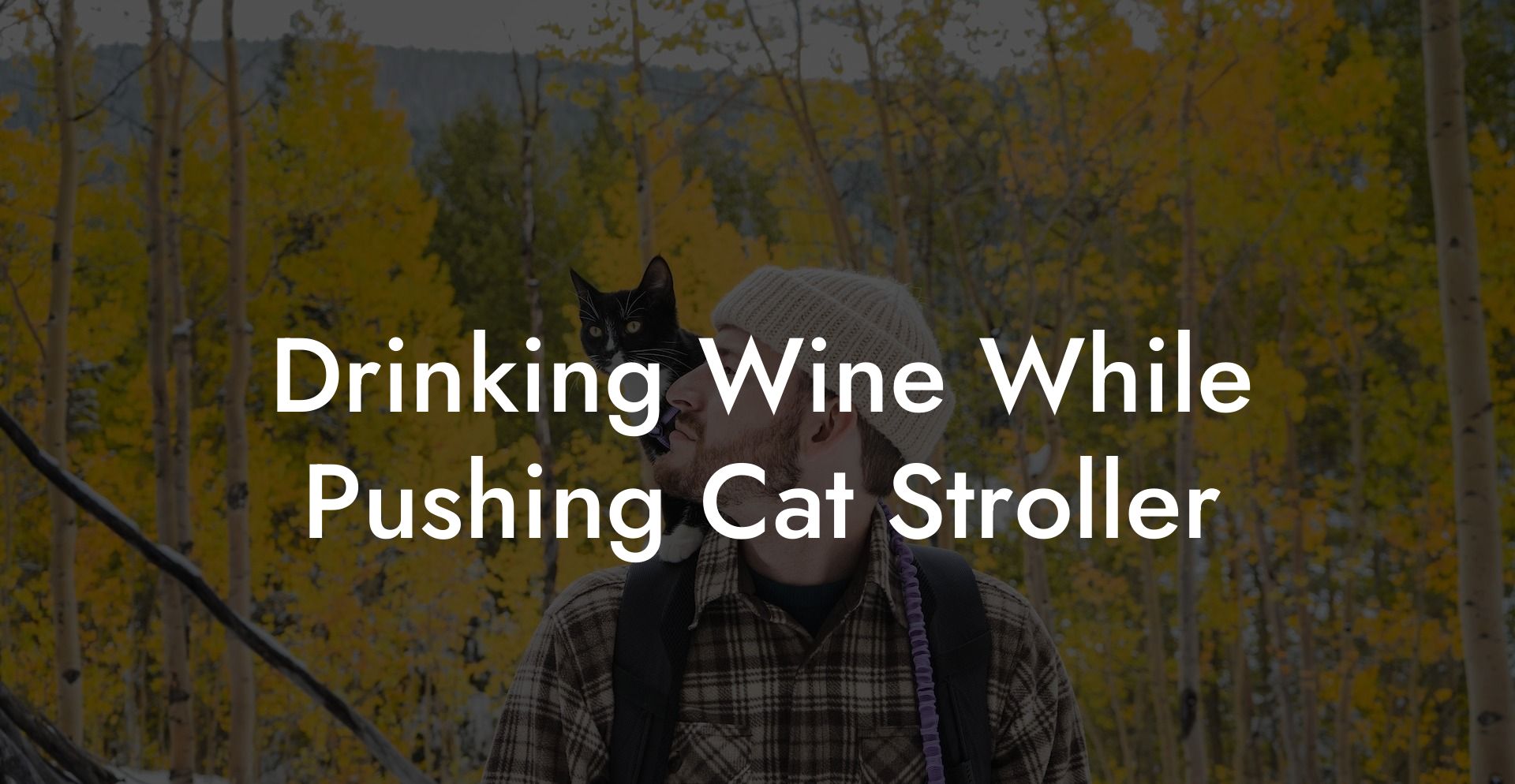Drinking Wine While Pushing Cat Stroller