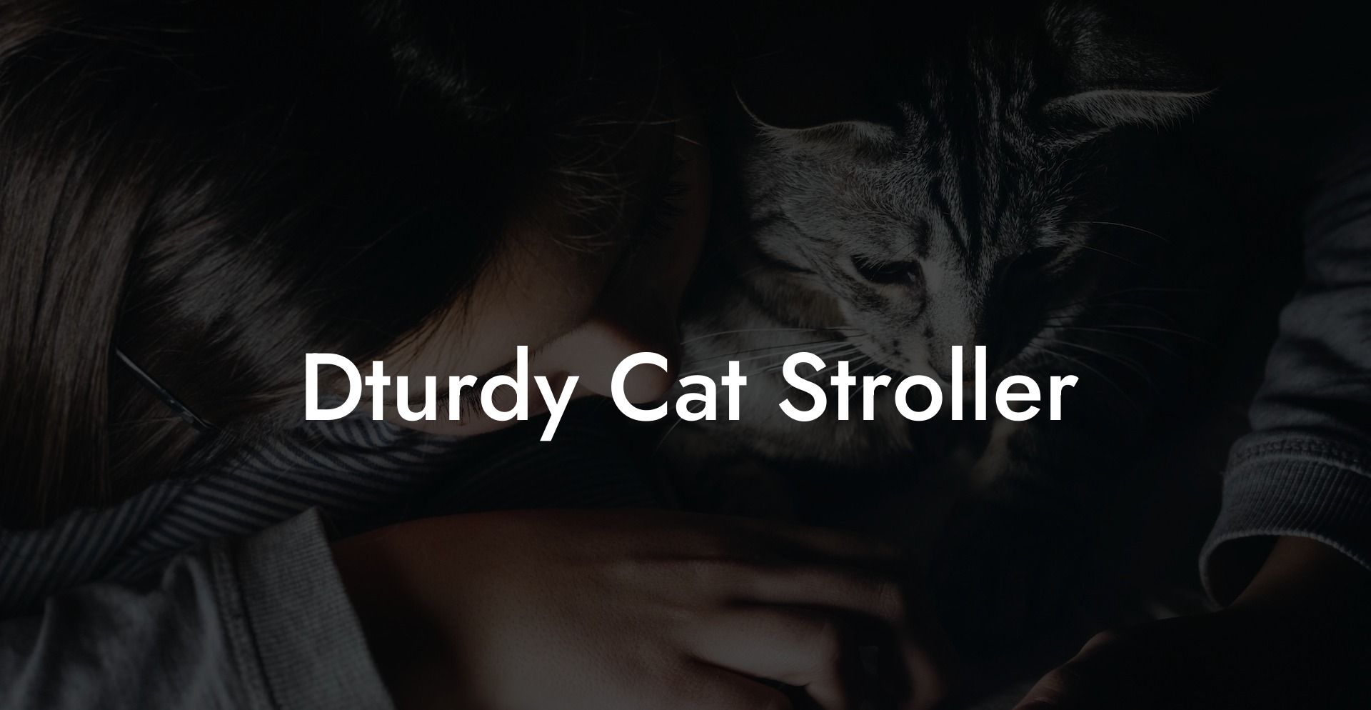Dturdy Cat Stroller