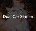 Dual Cat Stroller