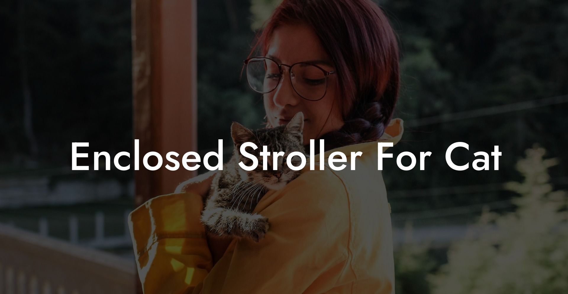 Enclosed Stroller For Cat