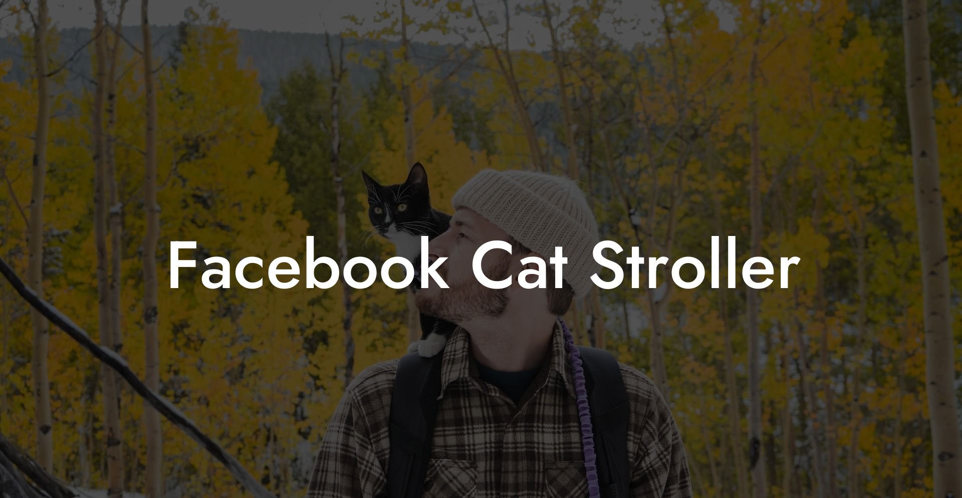 Facebook Cat Stroller