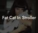 Fat Cat In Stroller