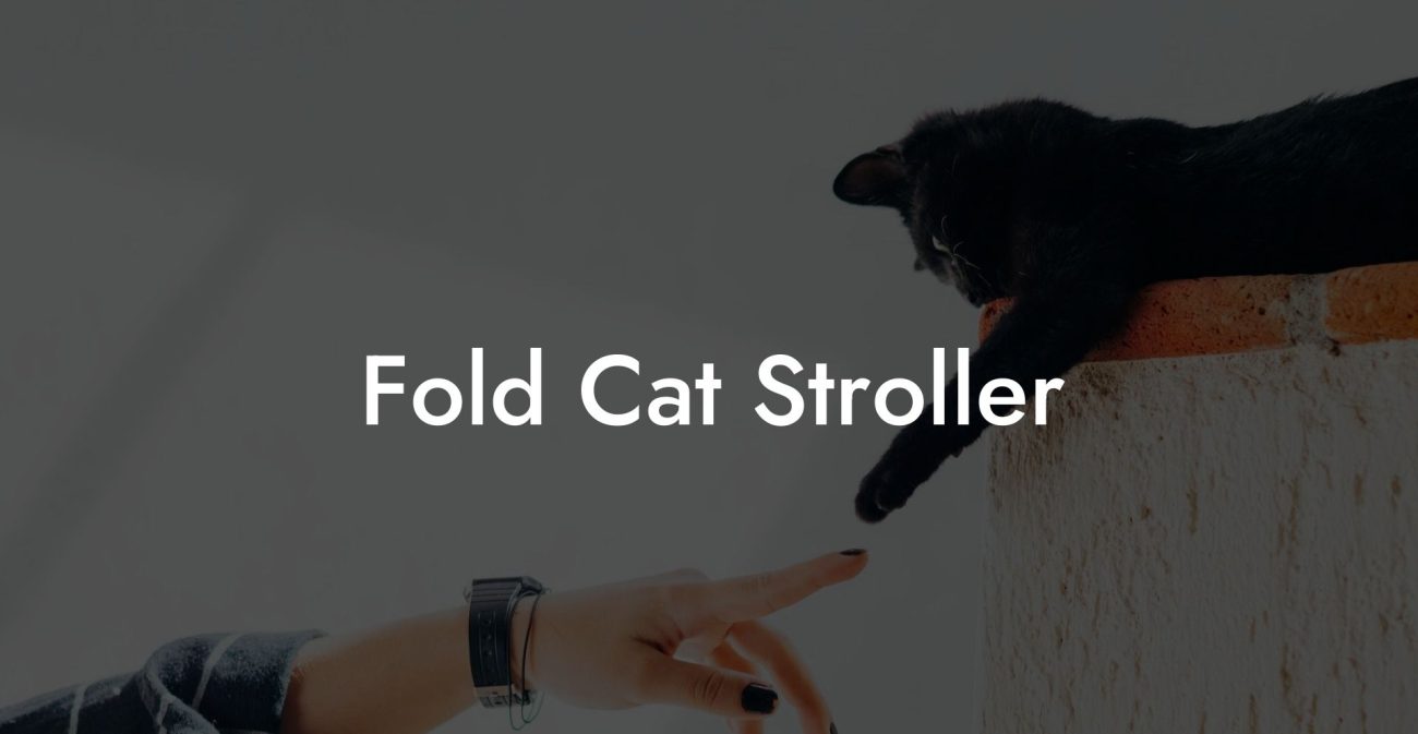 Fold Cat Stroller