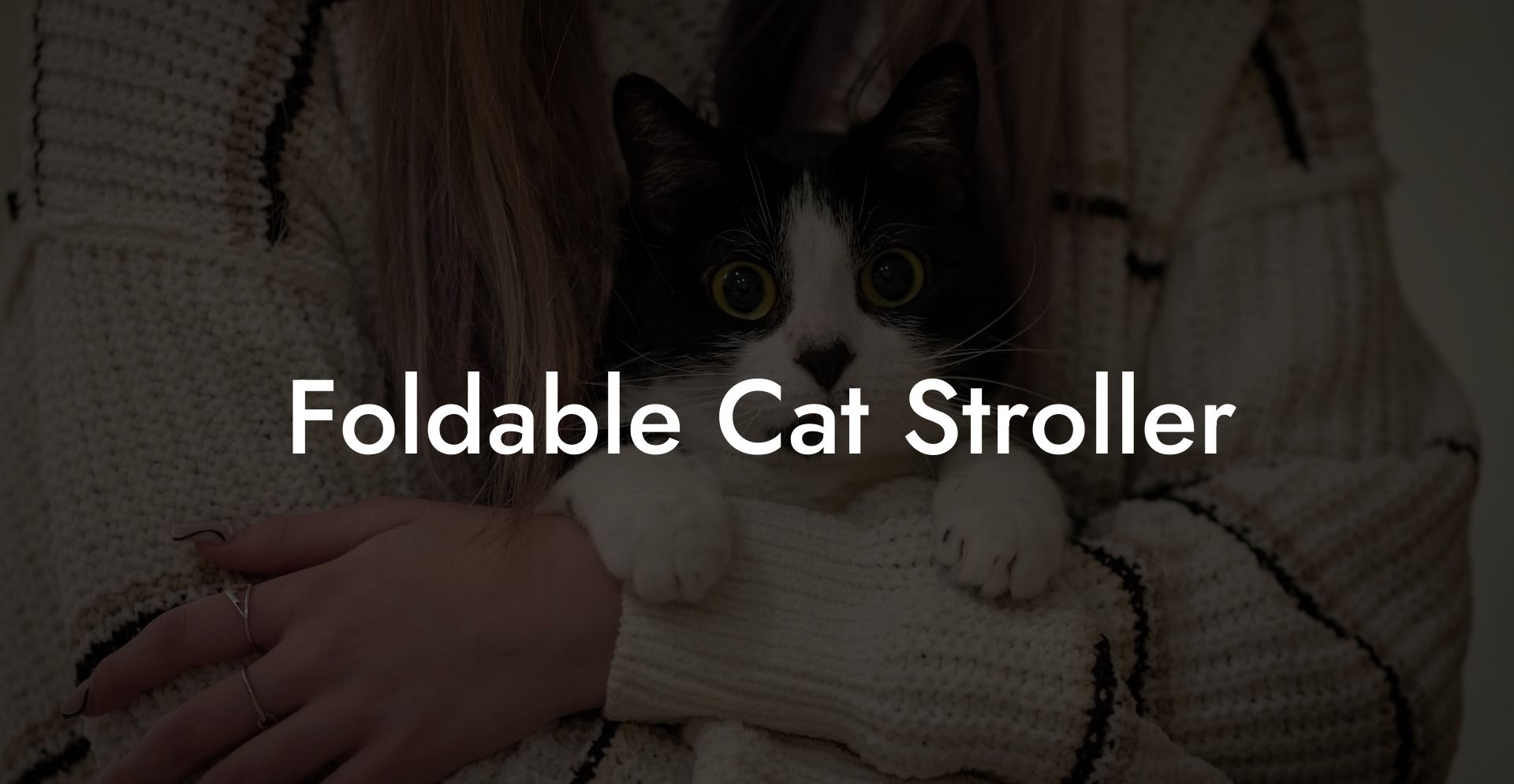 Foldable Cat Stroller