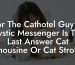 For The Cathotel Guy In Mystic Messenger Is The Last Answer Cat Limousine Or Cat Stroller