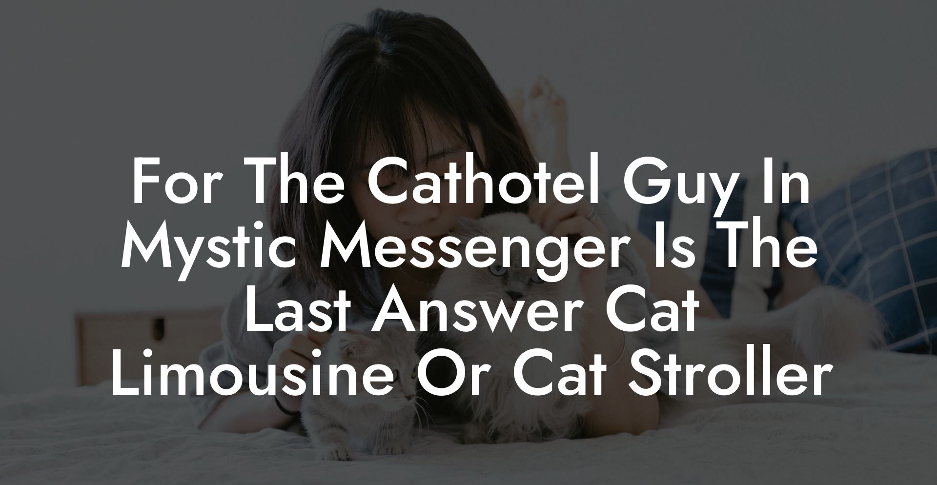 For The Cathotel Guy In Mystic Messenger Is The Last Answer Cat Limousine Or Cat Stroller