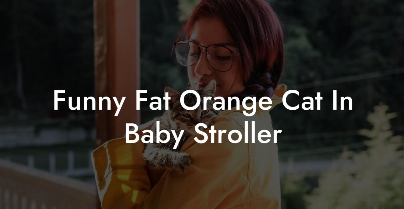 Funny Fat Orange Cat In Baby Stroller