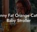 Funny Fat Orange Cat In Baby Stroller