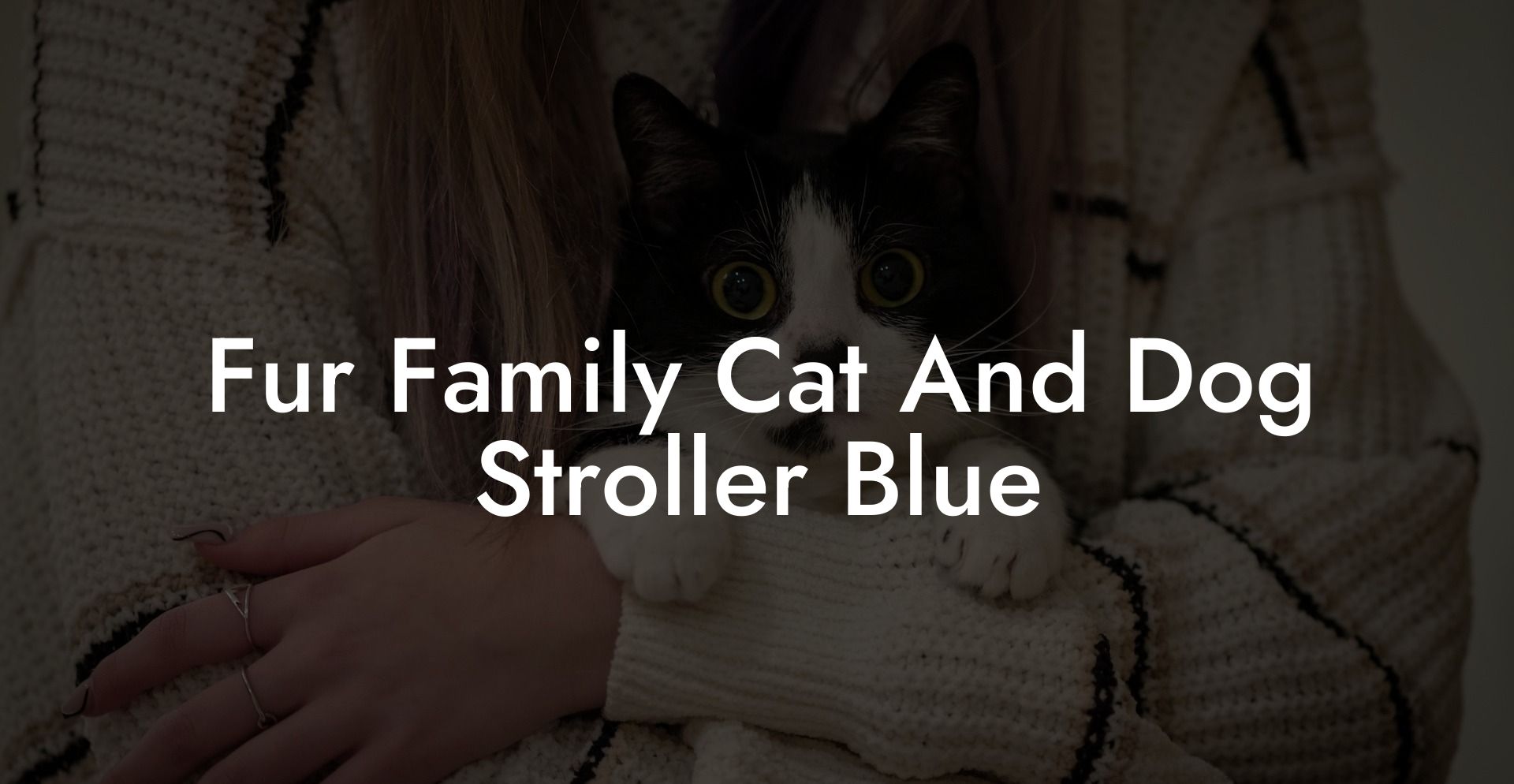 Fur Family Cat And Dog Stroller Blue