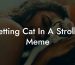 Getting Cat In A Stroller Meme