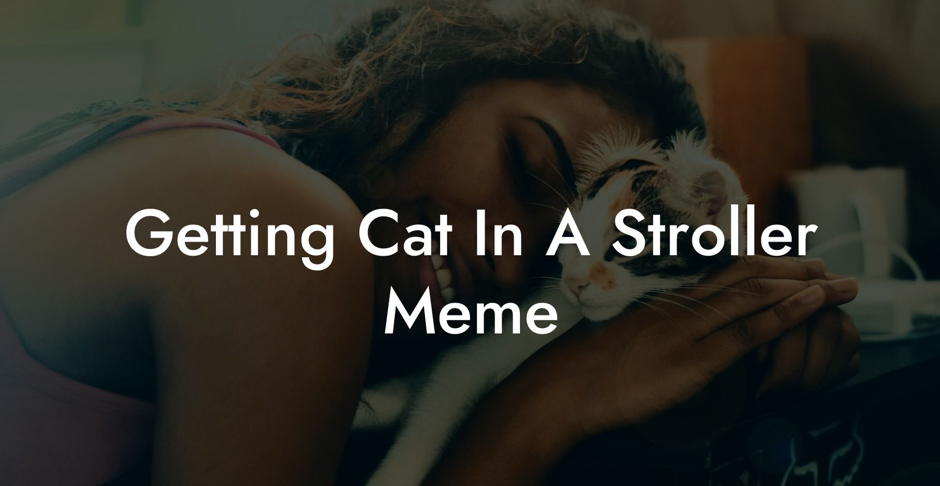 Getting Cat In A Stroller Meme
