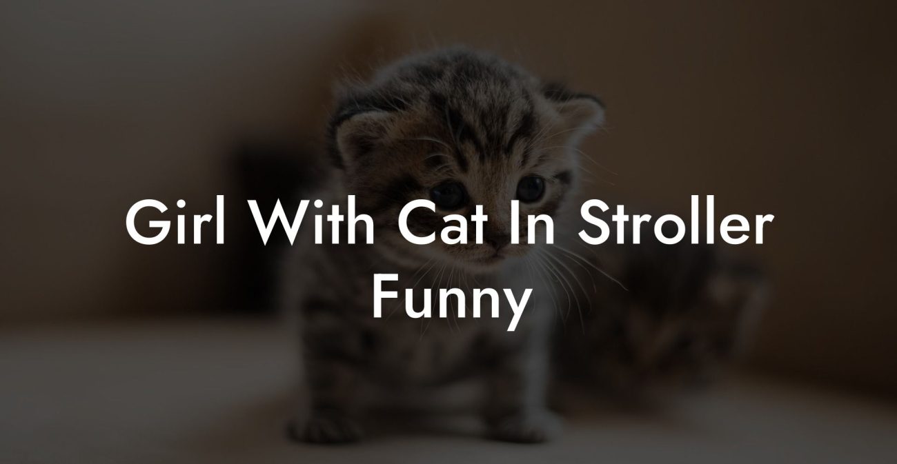 Girl With Cat In Stroller Funny