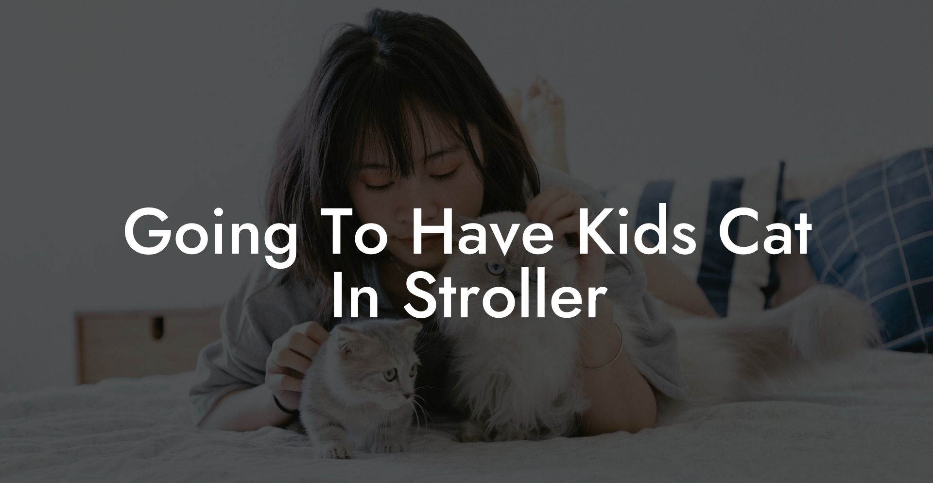 Going To Have Kids Cat In Stroller
