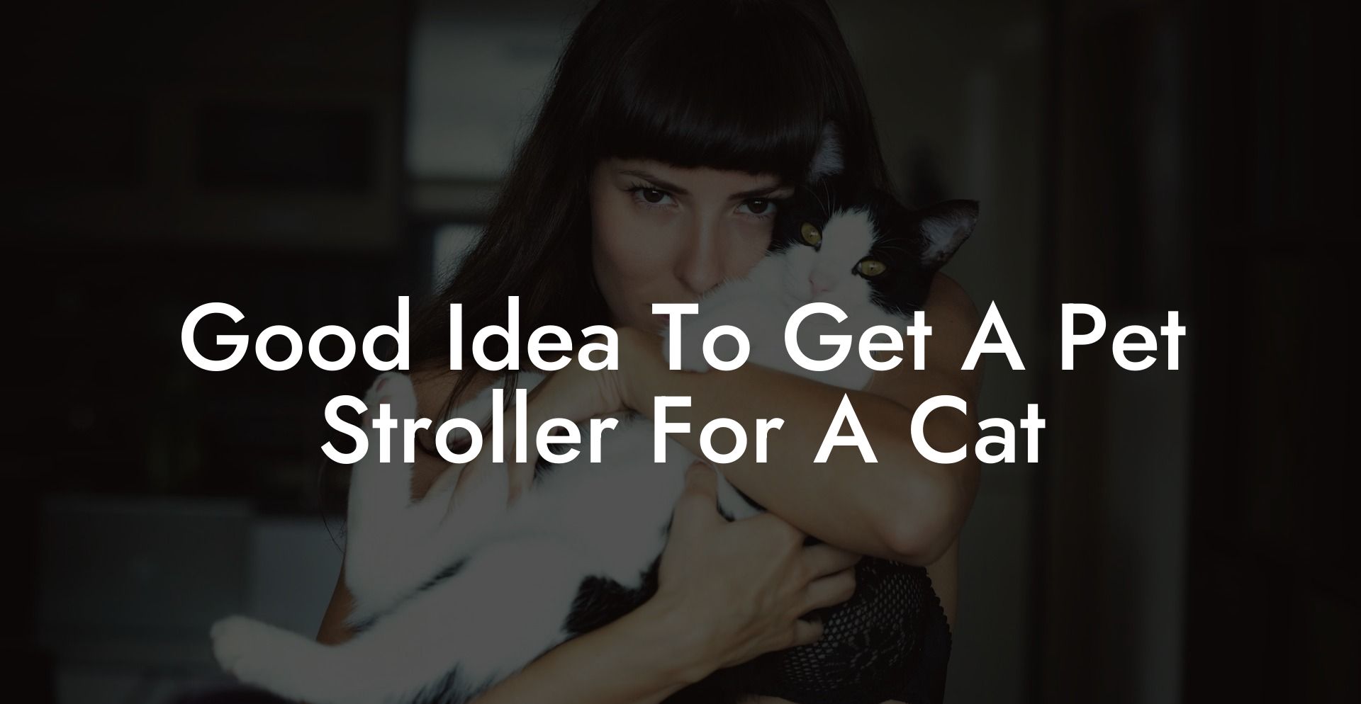 Good Idea To Get A Pet Stroller For A Cat
