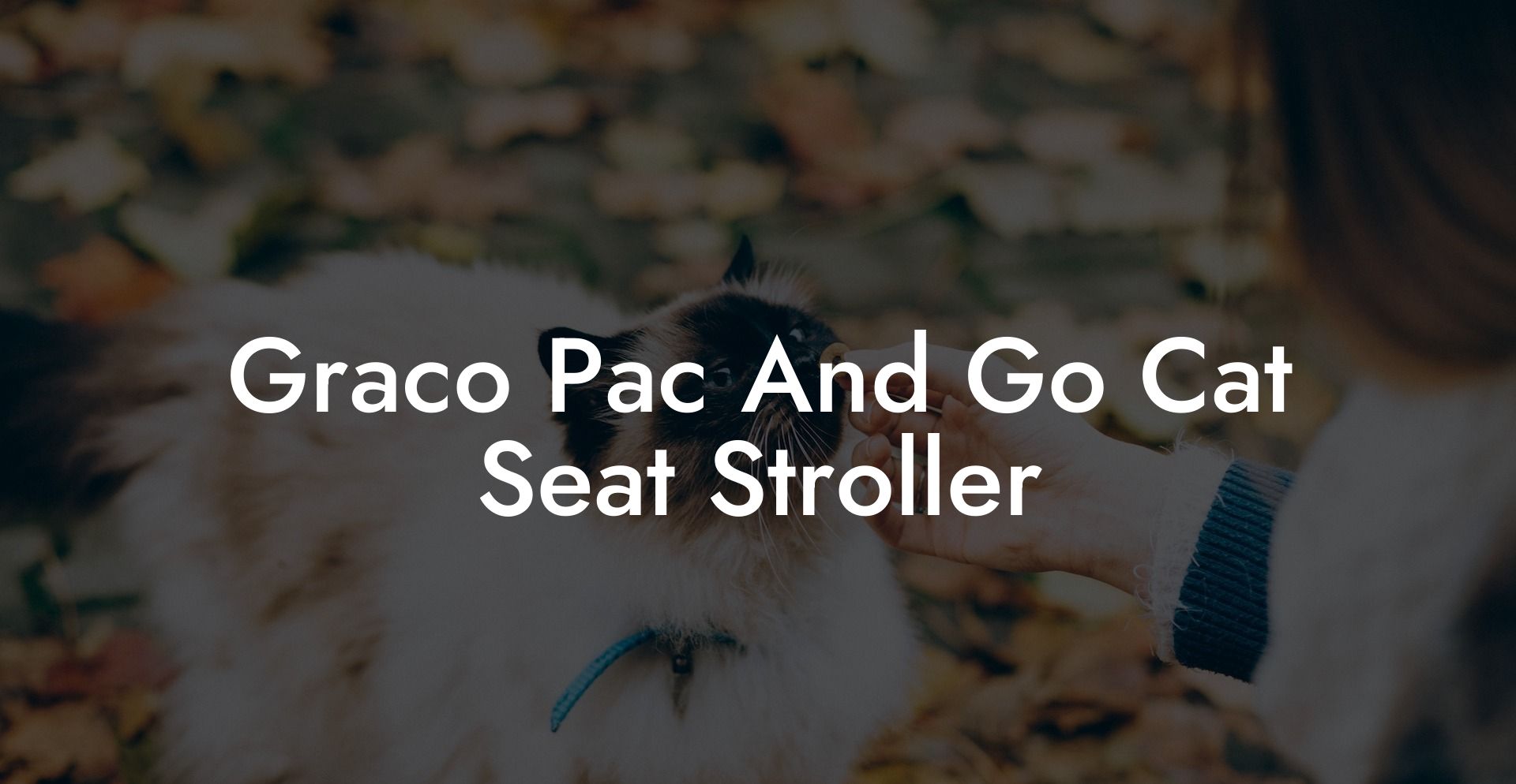 Graco Pac And Go Cat Seat Stroller
