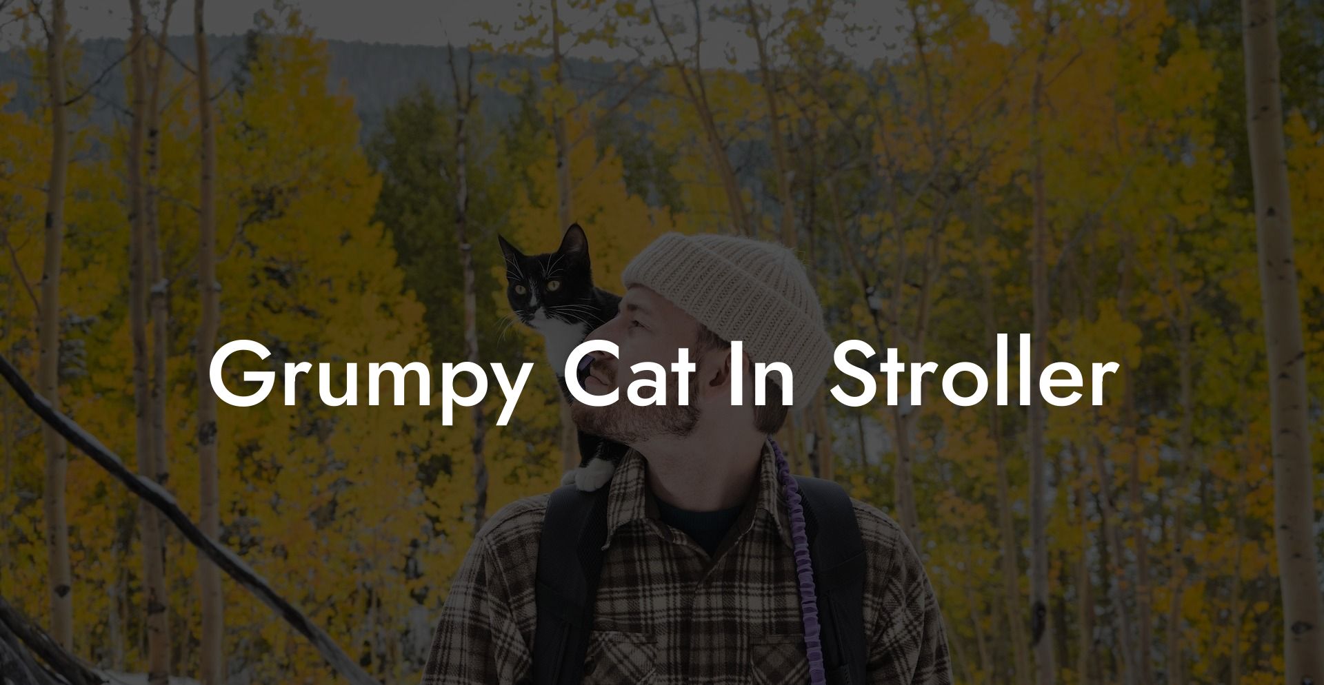 Grumpy Cat In Stroller