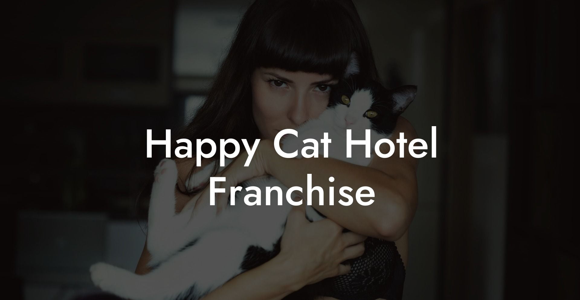 Happy Cat Hotel Franchise