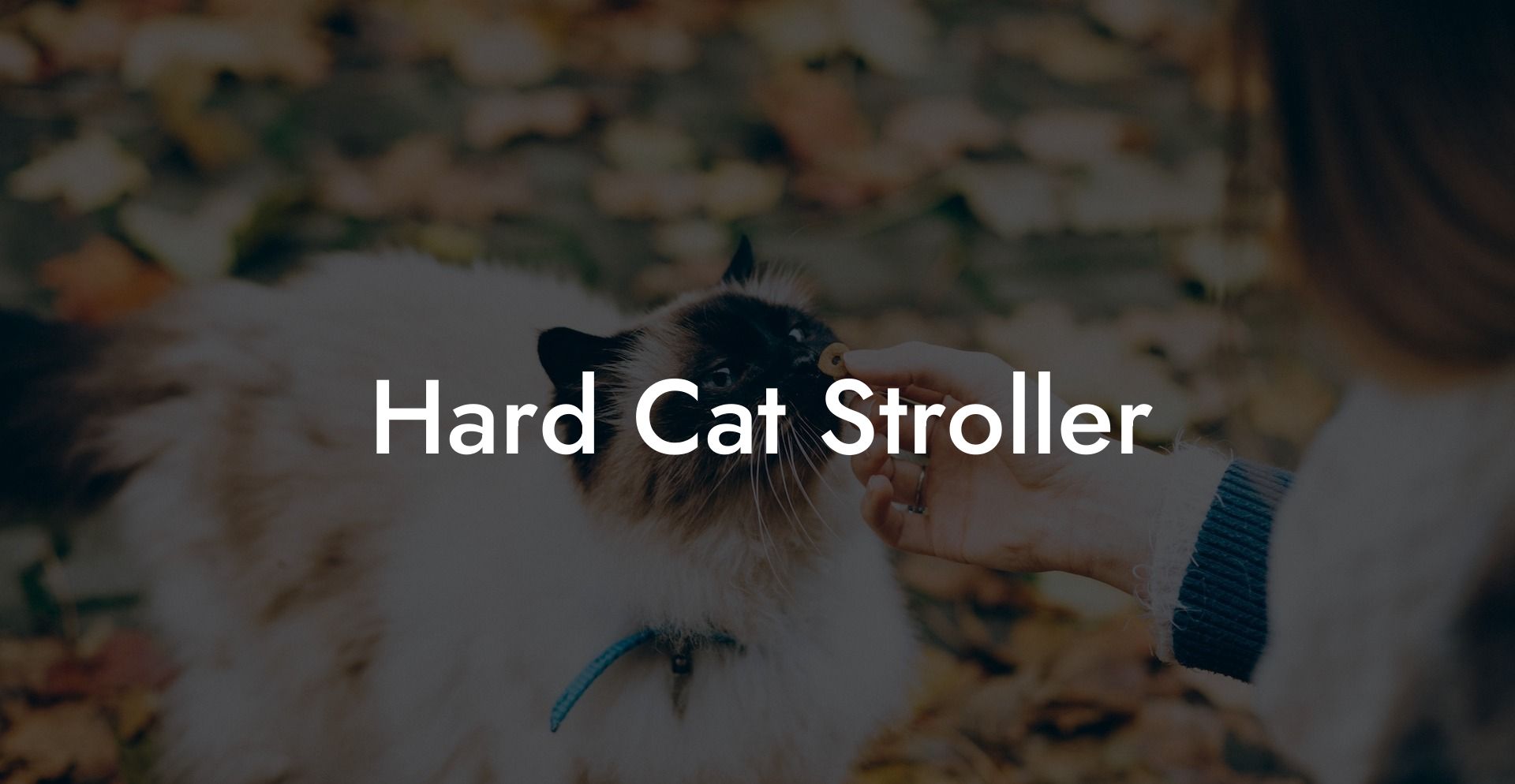 Hard Cat Stroller