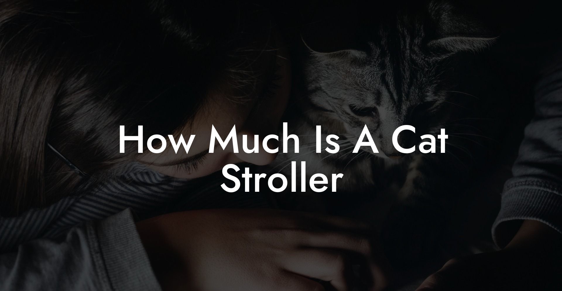 How Much Is A Cat Stroller