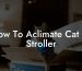 How To Aclimate Cat To Stroller