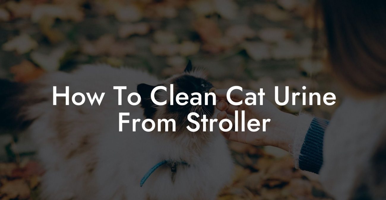 How To Clean Cat Urine From Stroller