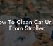 How To Clean Cat Urine From Stroller
