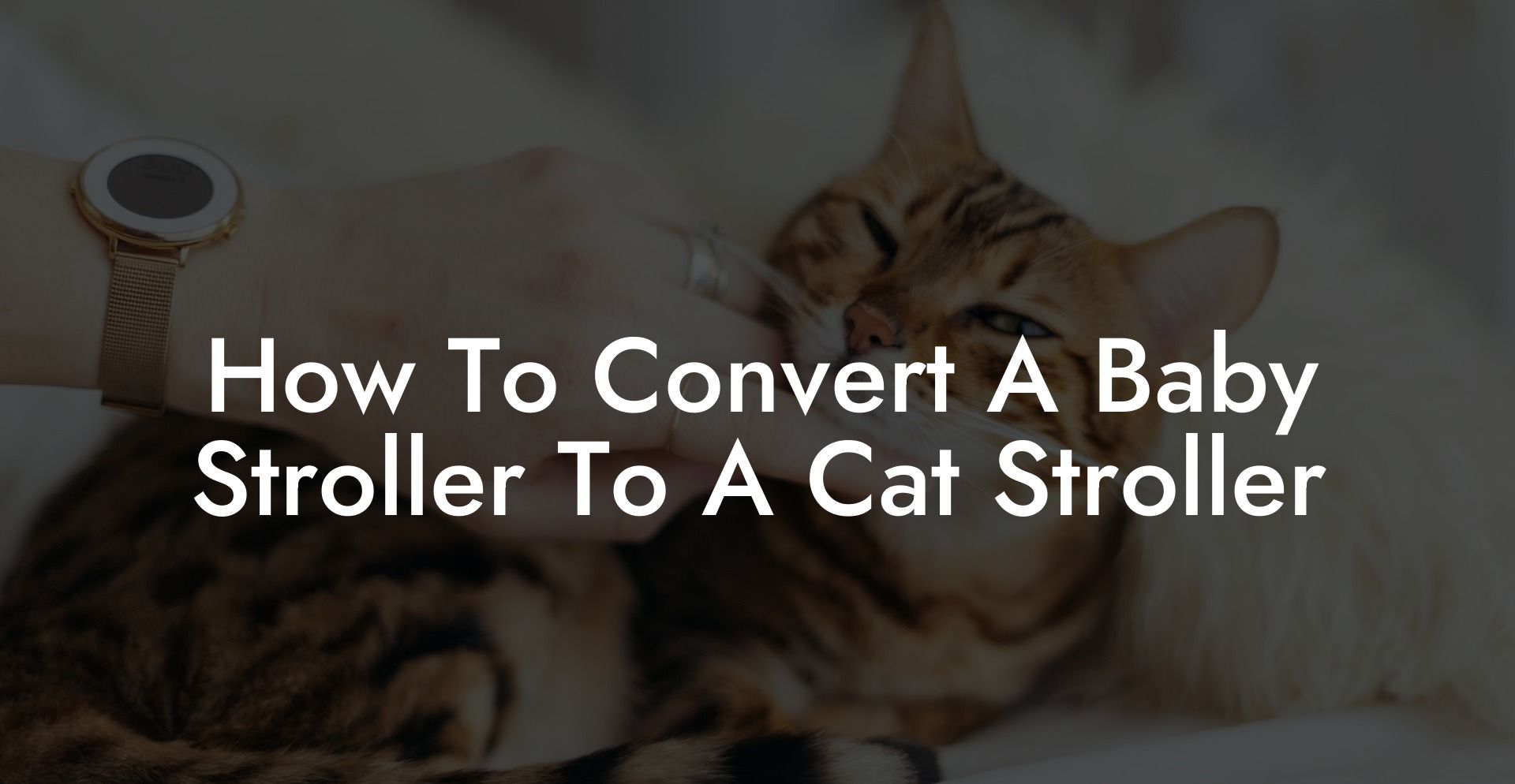 How To Convert A Baby Stroller To A Cat Stroller