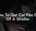 How To Get Cat Pee Out Of A Stroller