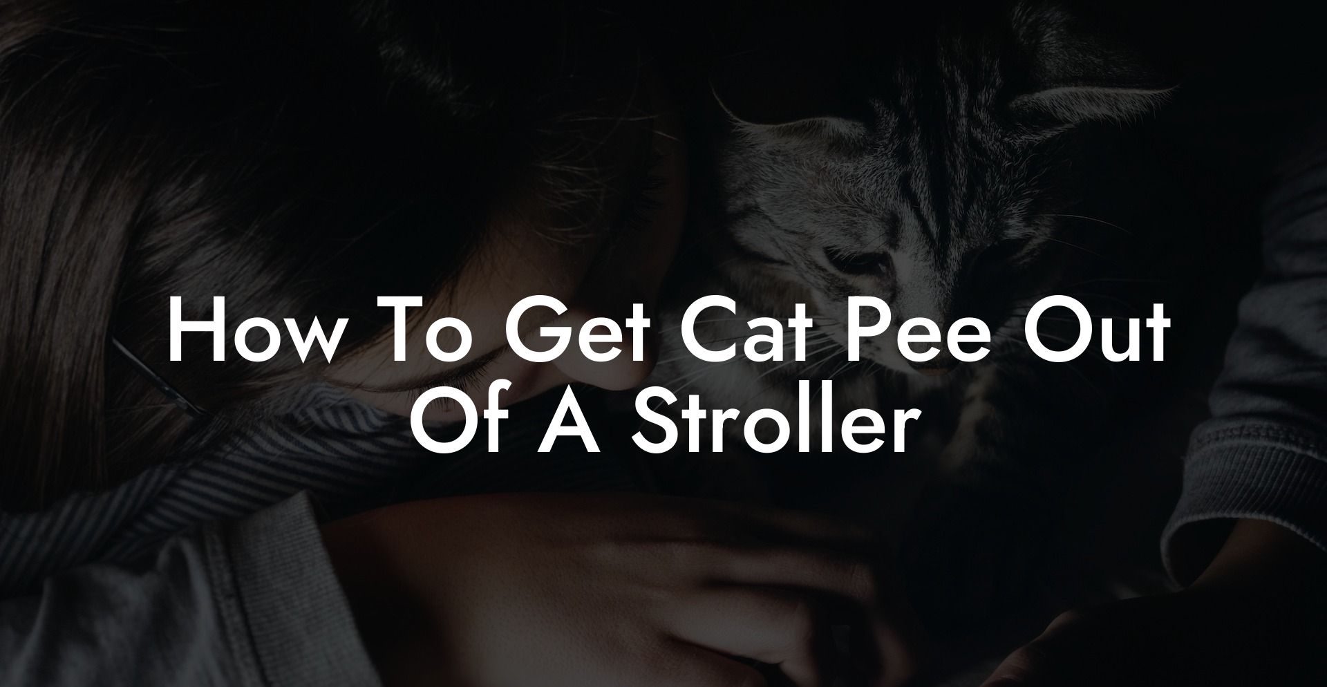 How To Get Cat Pee Out Of A Stroller