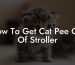 How To Get Cat Pee Out Of Stroller