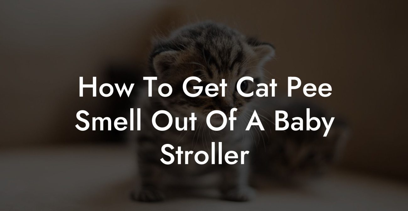 How To Get Cat Pee Smell Out Of A Baby Stroller