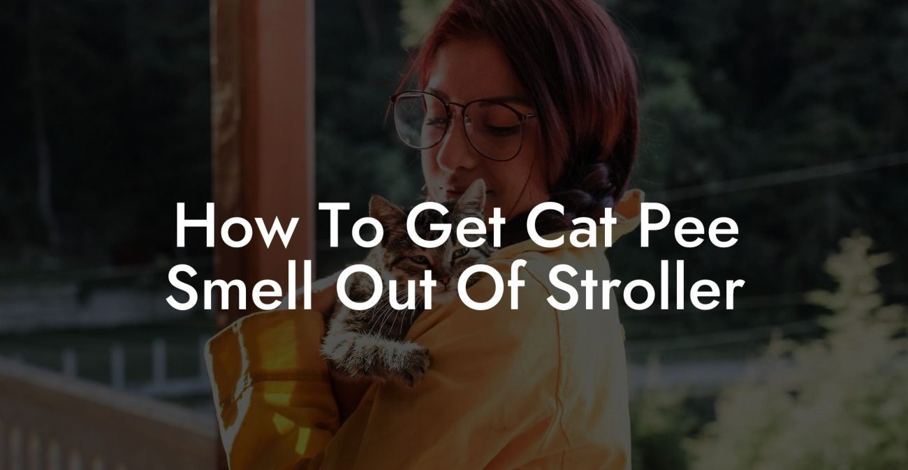 How To Get Cat Pee Smell Out Of Stroller