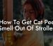 How To Get Cat Pee Smell Out Of Stroller
