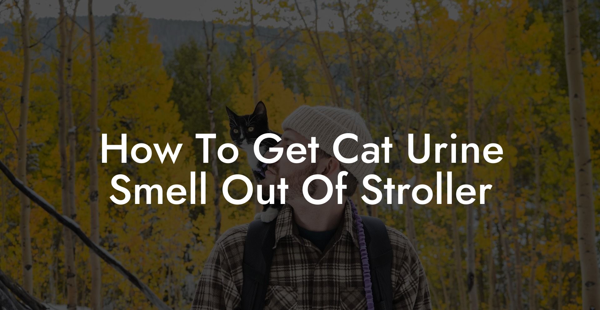 How To Get Cat Urine Smell Out Of Stroller
