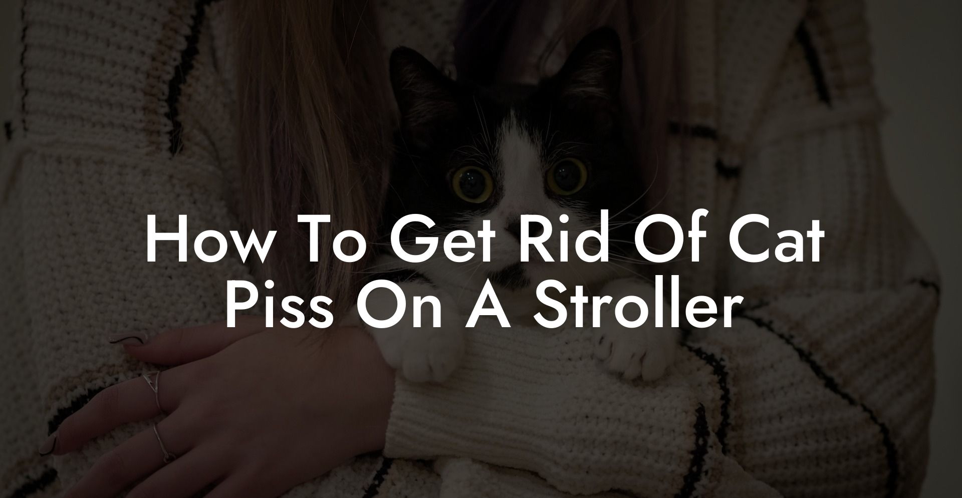 How To Get Rid Of Cat Piss On A Stroller