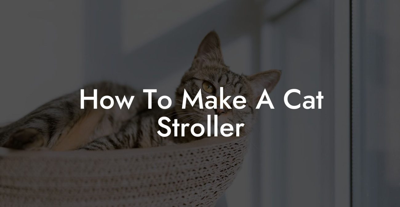 How To Make A Cat Stroller