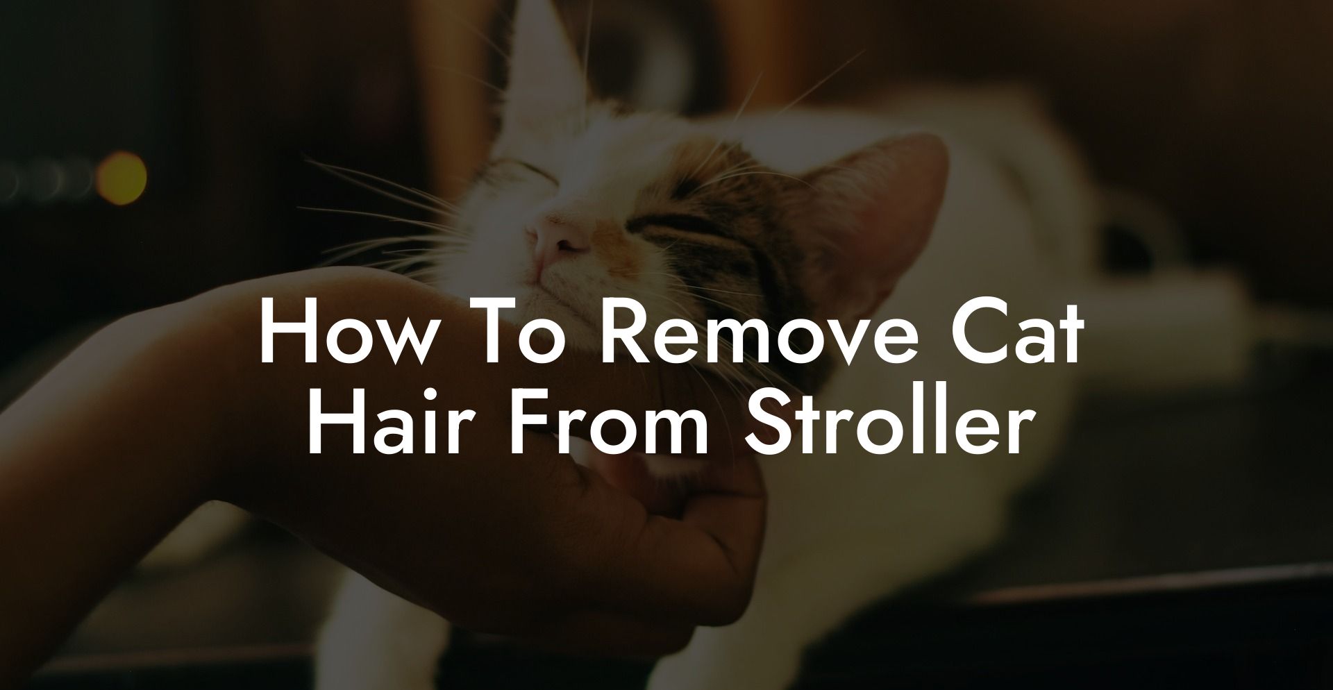 How To Remove Cat Hair From Stroller