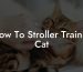 How To Stroller Train A Cat