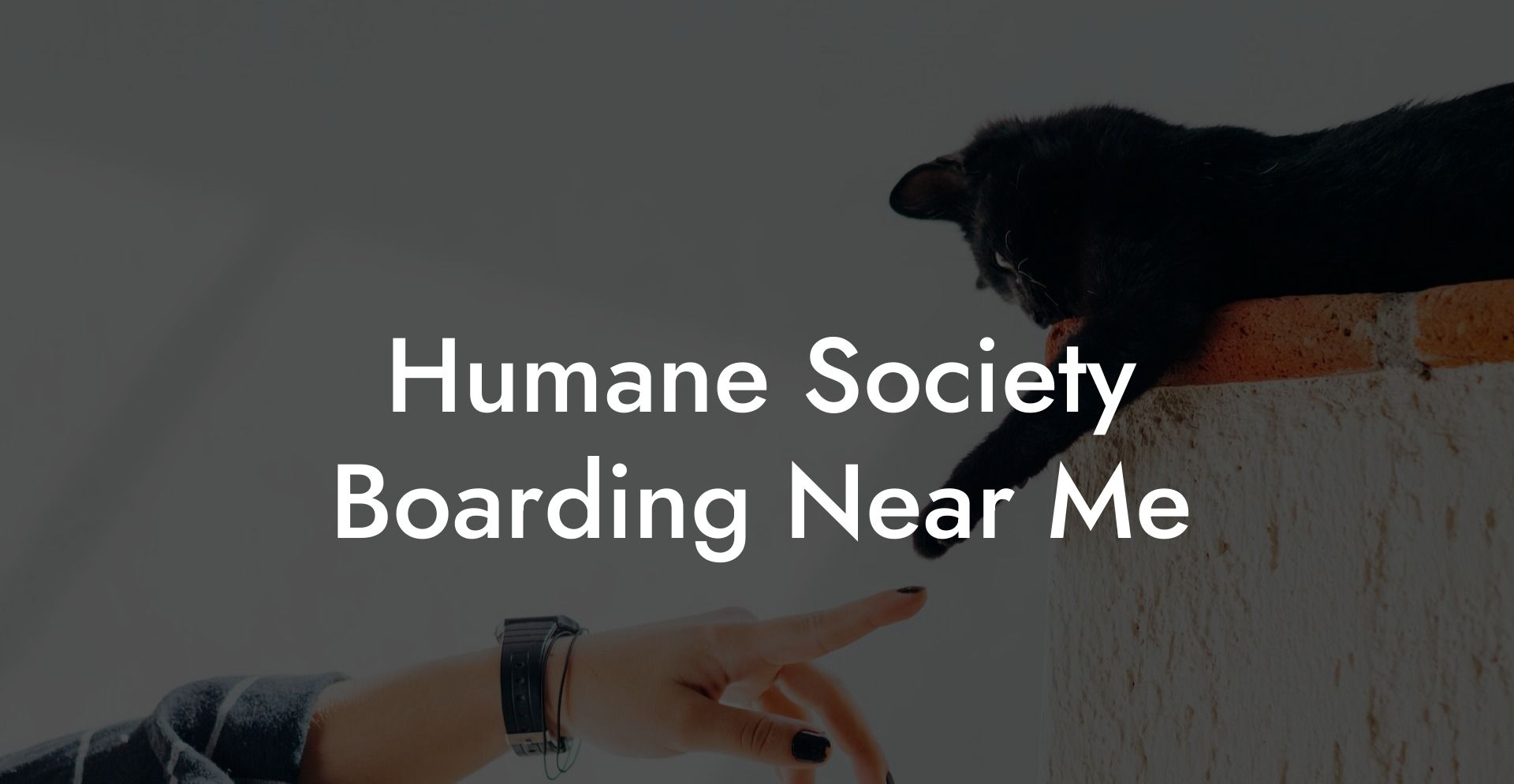 Humane Society Boarding Near Me