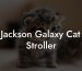 Jackson Galaxy Cat Stroller