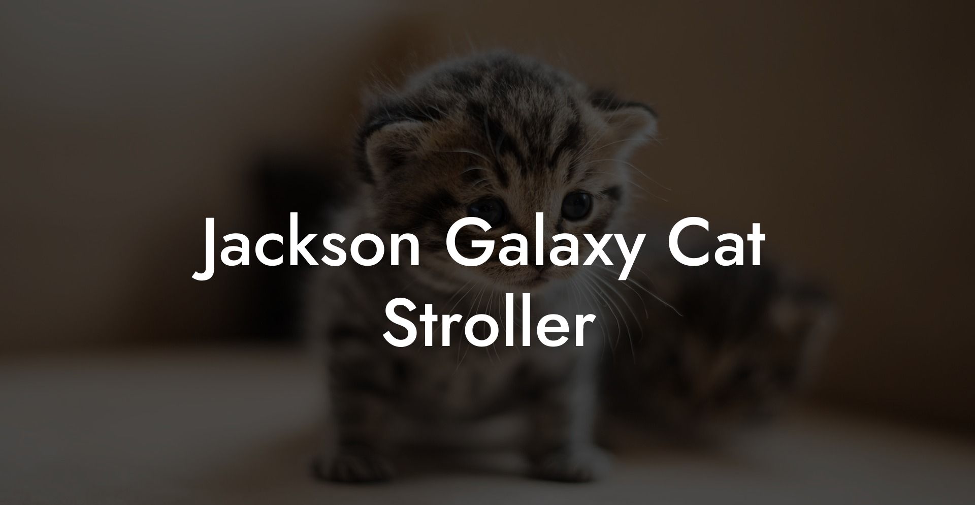Jackson Galaxy Cat Stroller