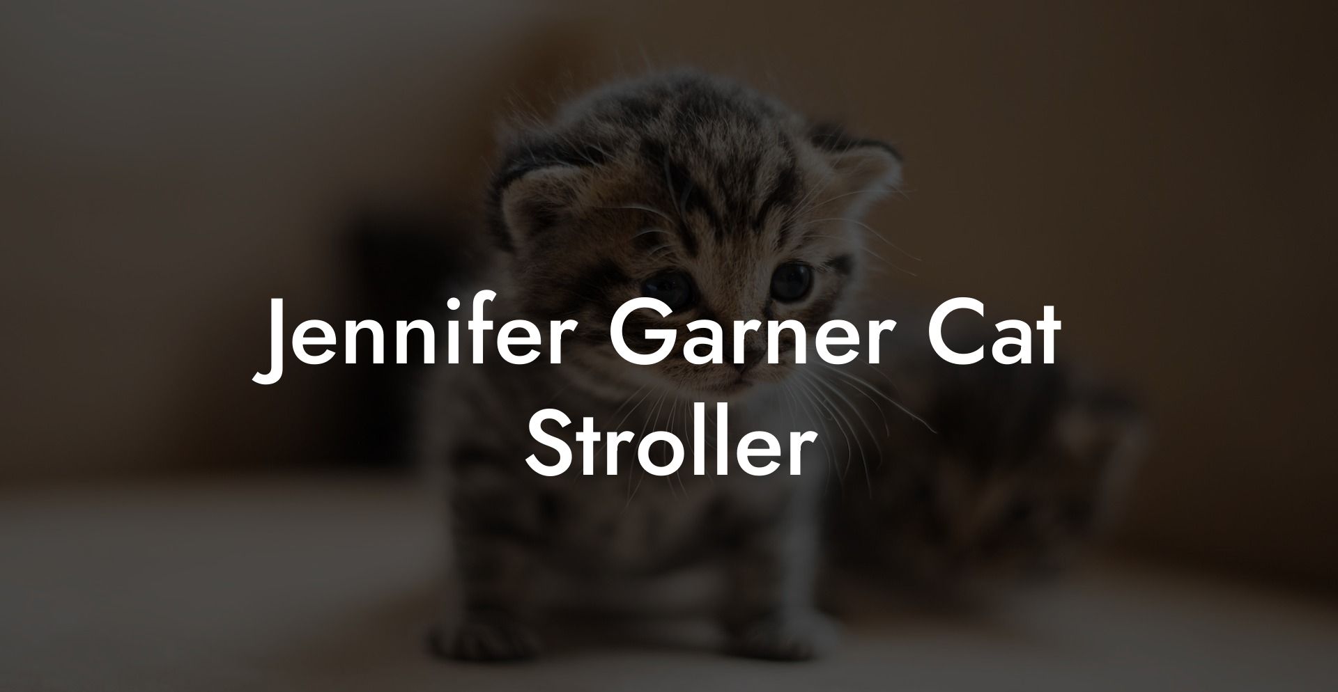 Jennifer Garner Cat Stroller