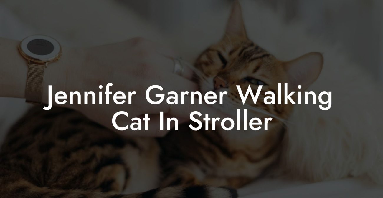 Jennifer Garner Walking Cat In Stroller