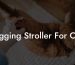 Jogging Stroller For Cat