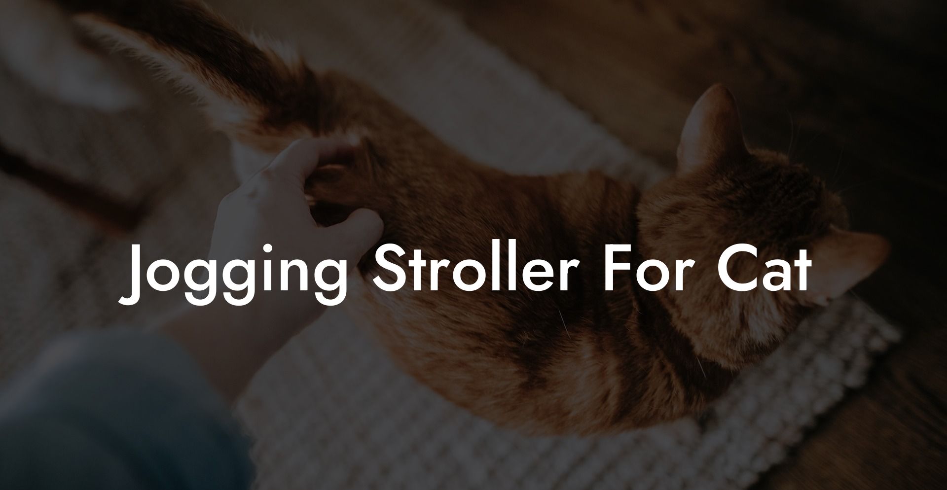 Jogging Stroller For Cat